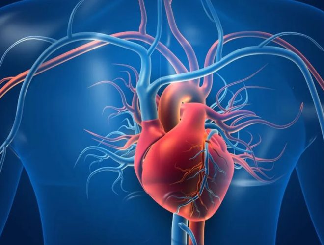 Buenos-Habitos-Para-Cuidar-El-Corazon-oh-my-boomer