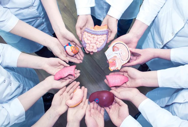 Importancia-De-La-Donacion-De-Organos-oh-my-boomer